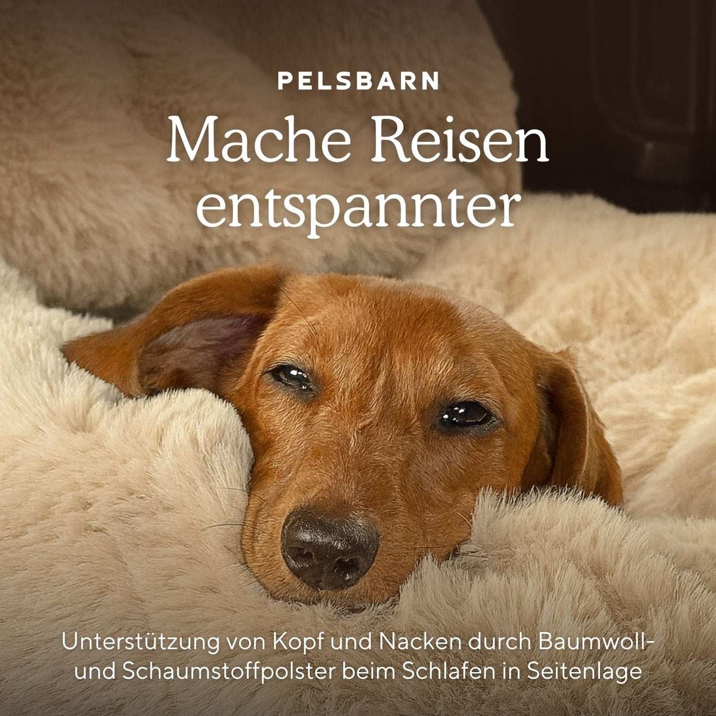 Luxuriöser Autositz