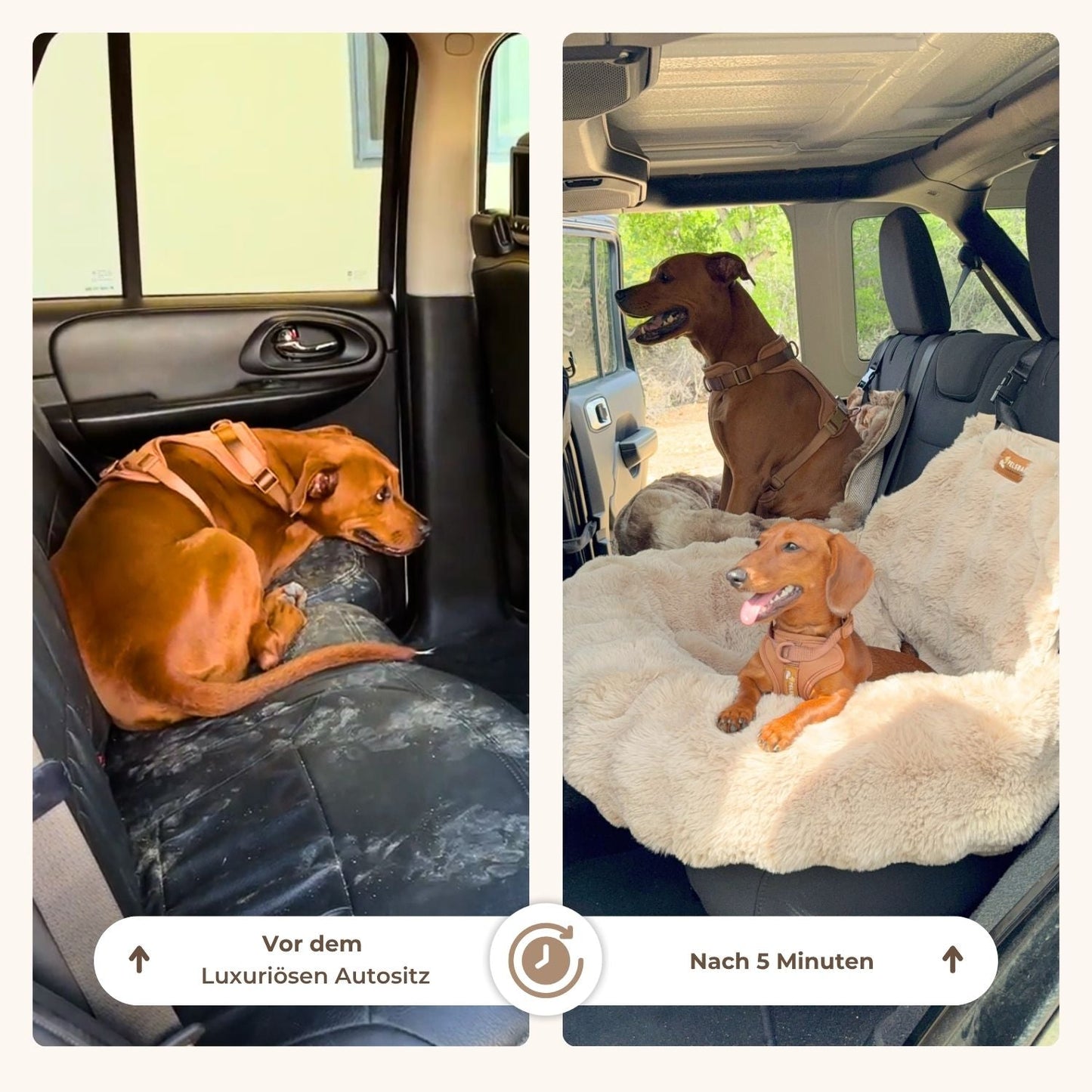 Luxuriöser Autositz